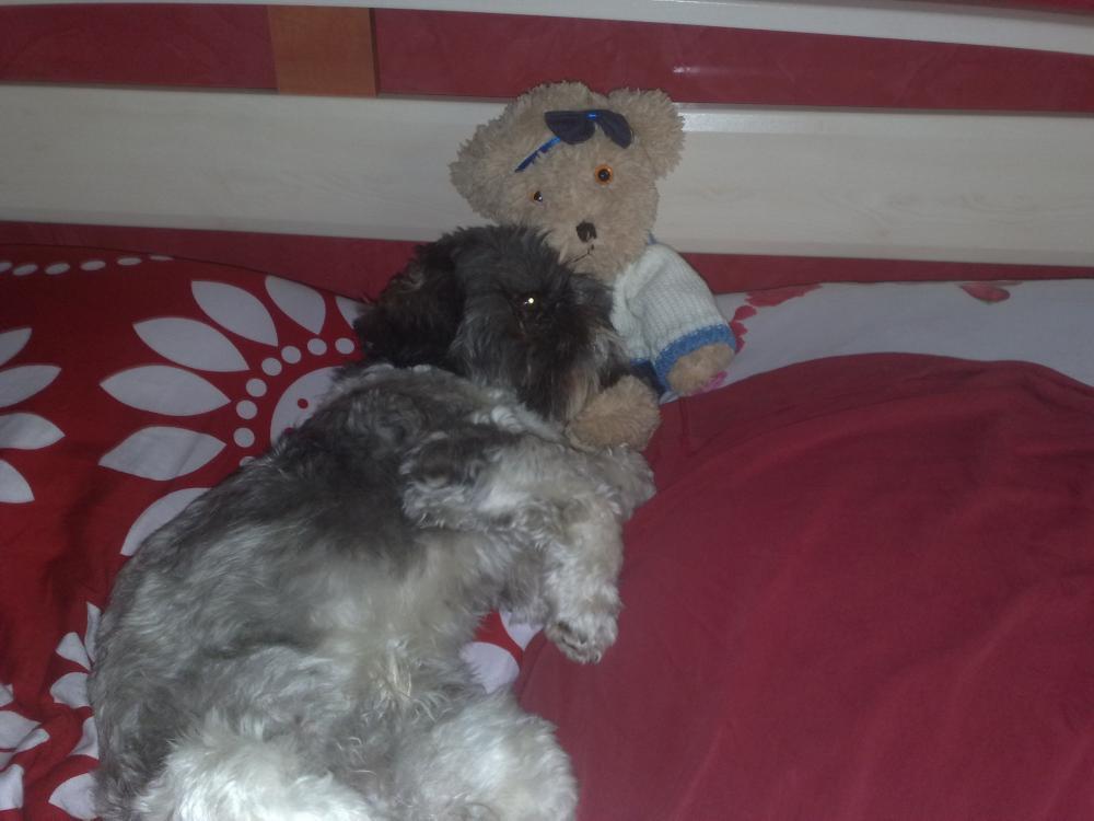 moj maxi, zdjęcie 4