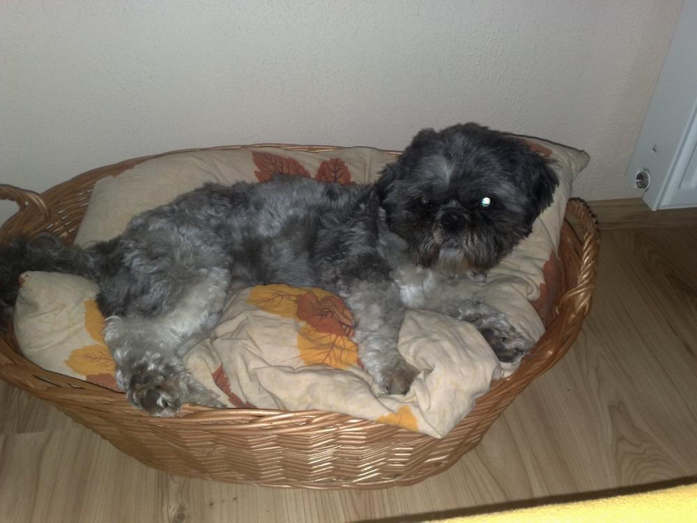 moj maxi, zdjęcie 2