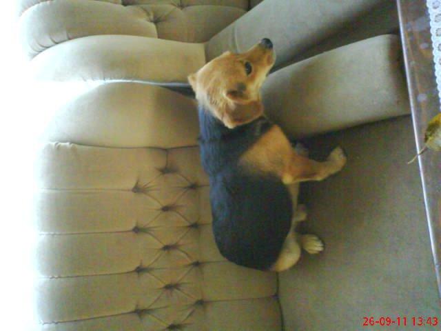 moje dwa pupile. , zdjęcie 14