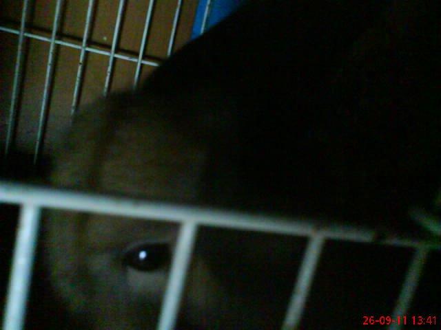 moje dwa pupile. , zdjęcie 16