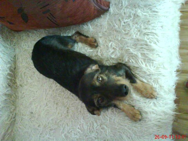 moje dwa pupile. , zdjęcie 10