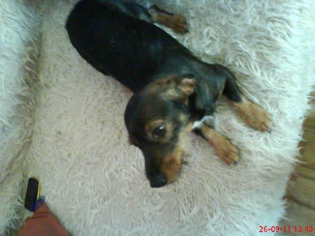 moje dwa pupile. , zdjęcie 8