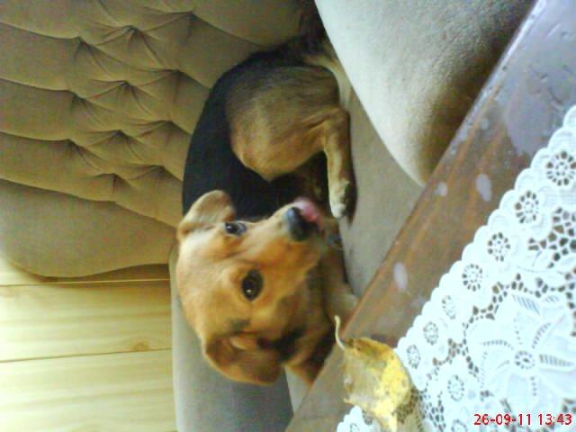 moje dwa pupile. , zdjęcie 7