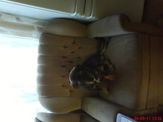 moje dwa pupile. , zdjęcie 12