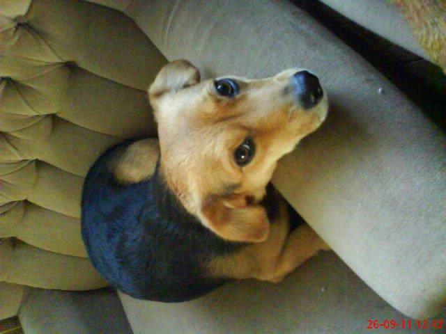 moje dwa pupile. , zdjęcie 2