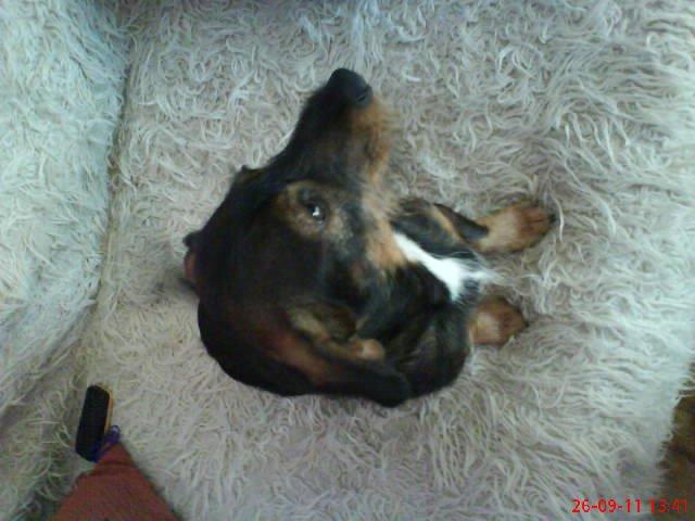 moje dwa pupile. , zdjęcie 5