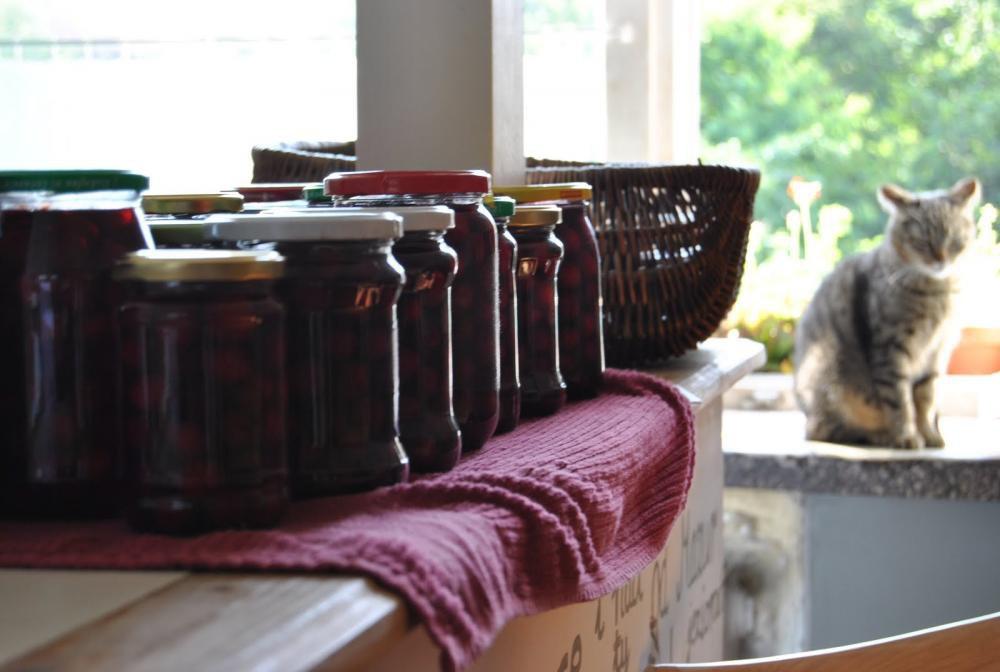 Zwierzak w domu - konkurs, zdjęcie 5