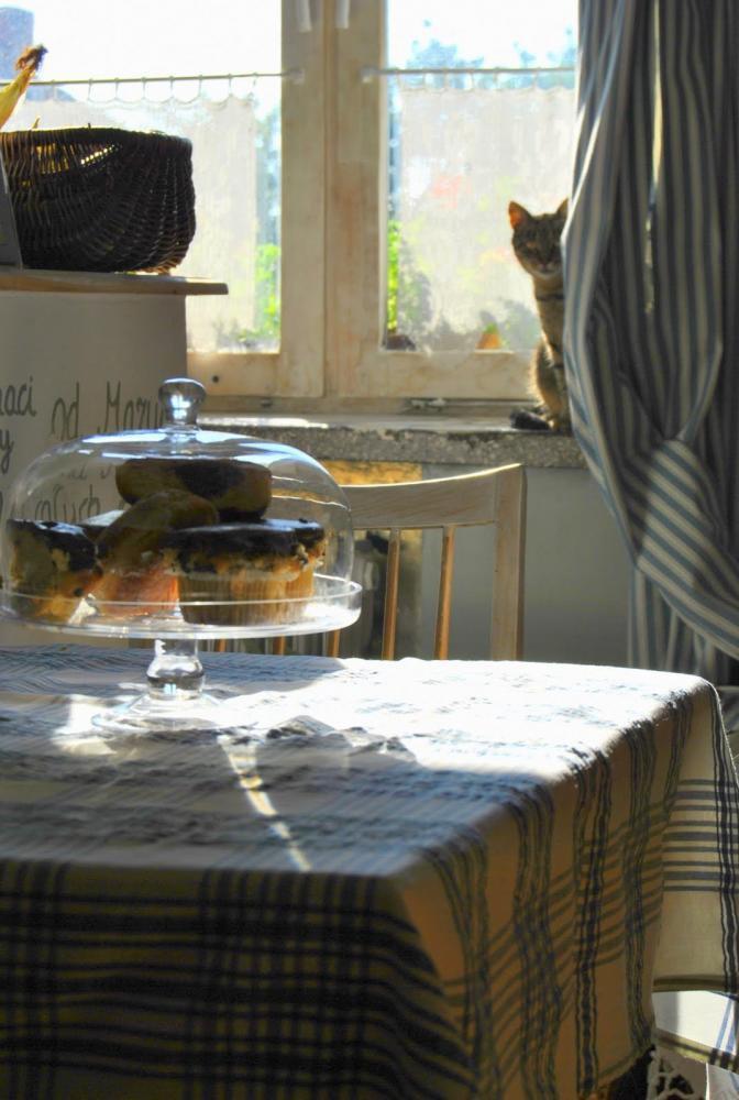 Zwierzak w domu - konkurs, zdjęcie 12