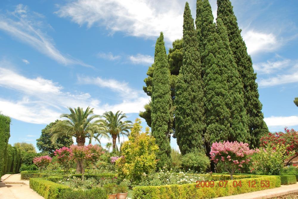 ogród-inspiracja, zdjęcie 2