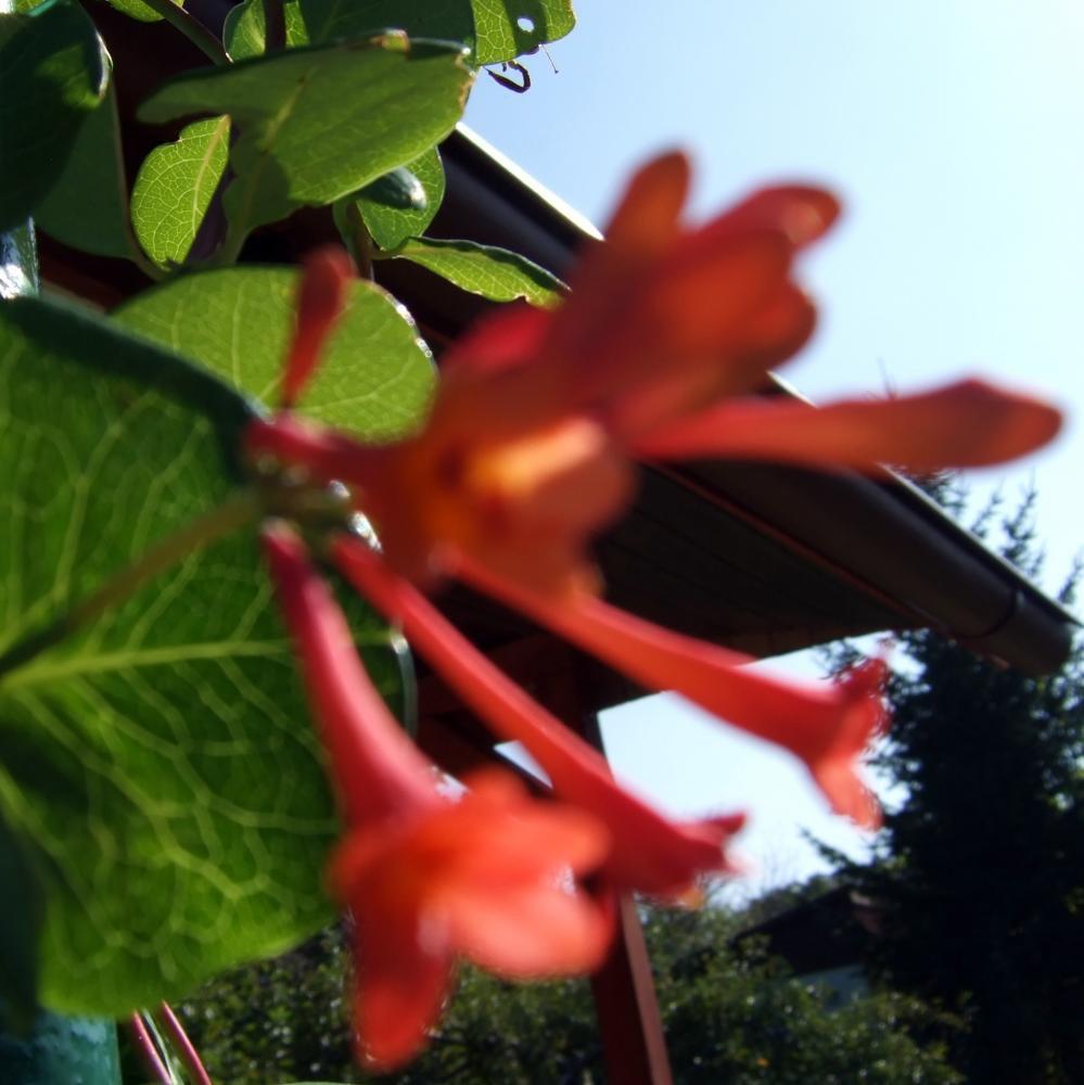 Moje początki..., zdjęcie 2