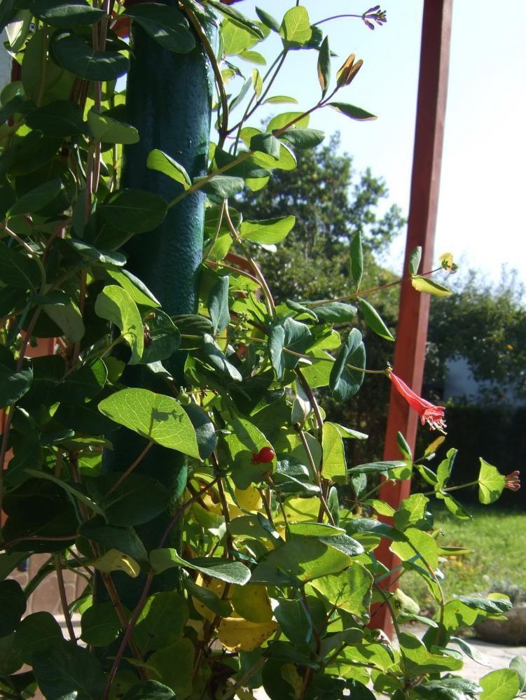 Moje początki..., zdjęcie 4