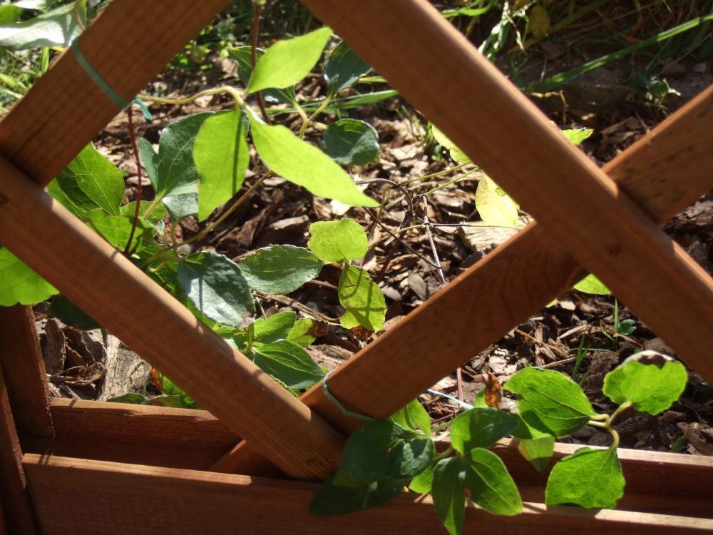 Moje początki..., zdjęcie 5