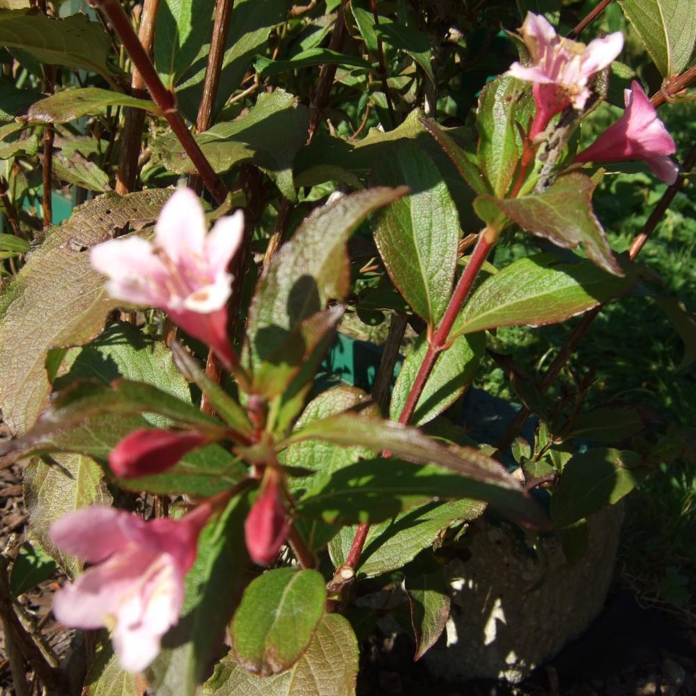 Moje początki..., zdjęcie 7