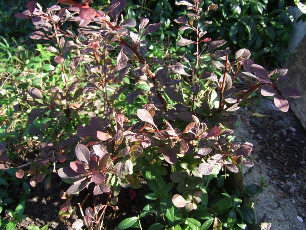 Moje początki..., zdjęcie 3