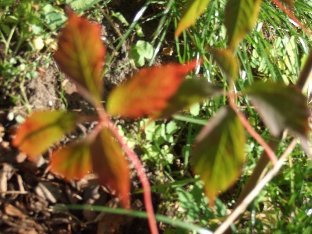 Moje początki..., zdjęcie 6