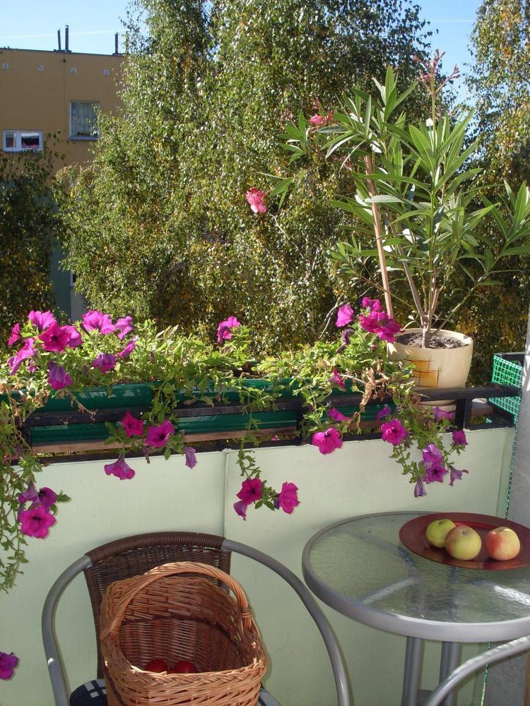 balkon moich rodziców, zdjęcie 1