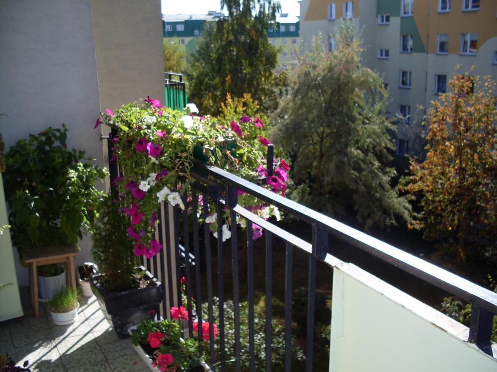 balkon moich rodziców, zdjęcie 3