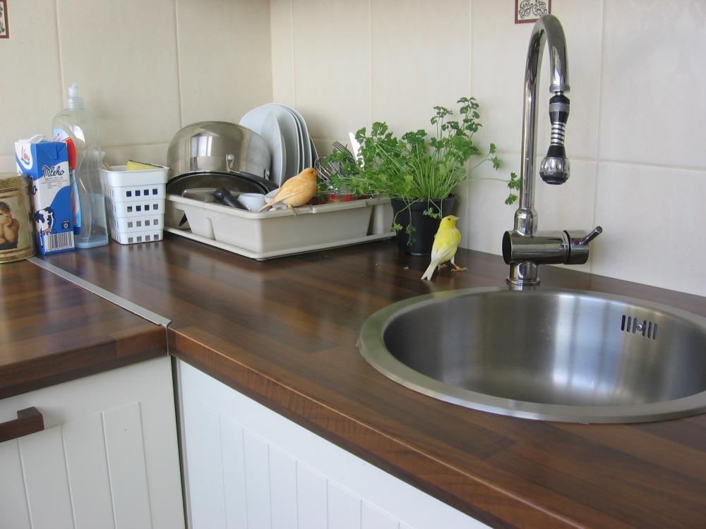 Zwierzaki w moim domu, zdjęcie 2