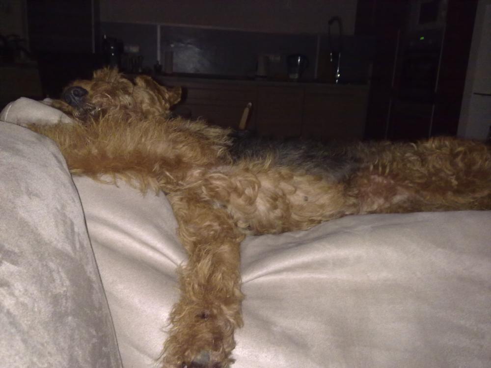 Czyja ta sofa?, zdjęcie 3