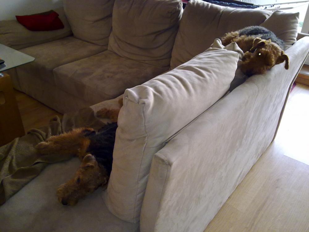 Czyja ta sofa?, zdjęcie 2