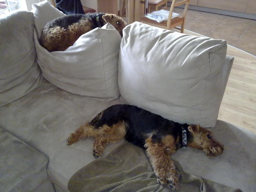 Czyja ta sofa?, zdjęcie 4