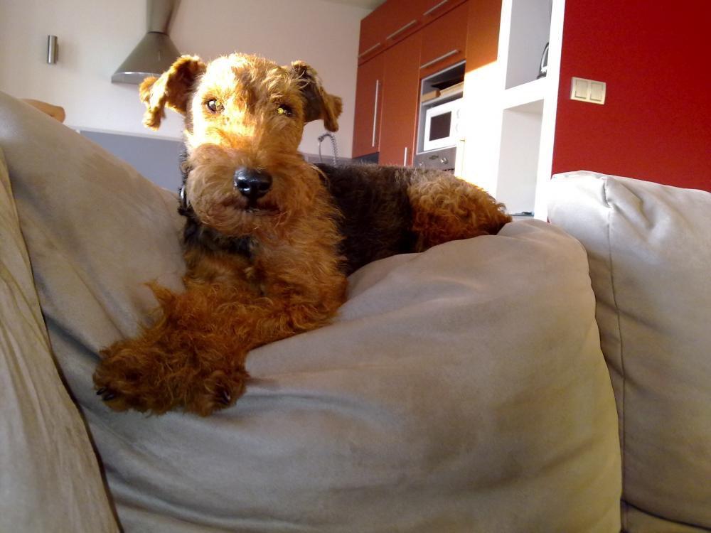 Czyja ta sofa?, zdjęcie 5