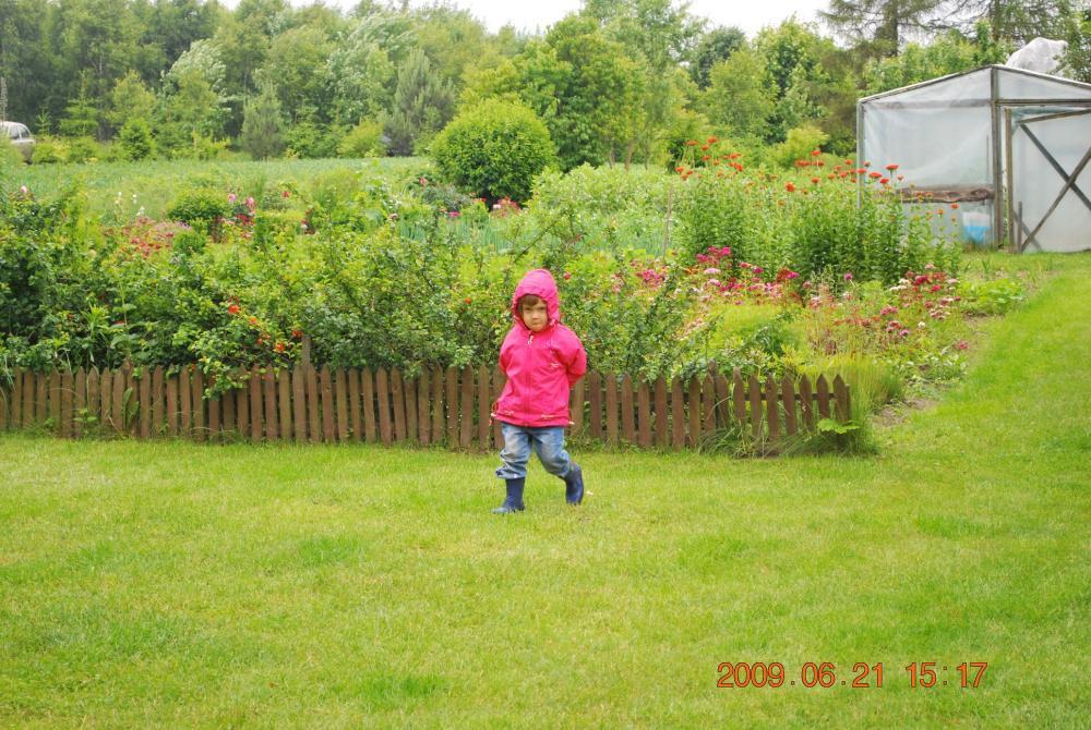 staw - działka, zdjęcie 3