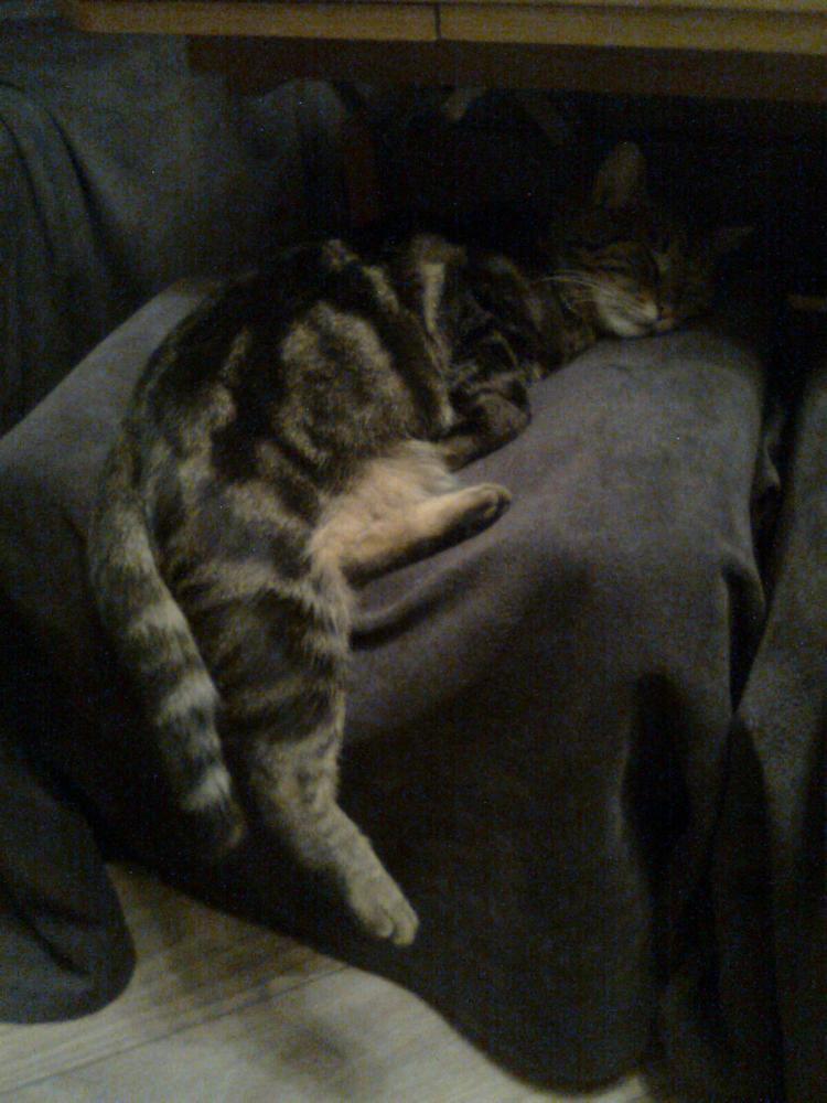 na konkursik o zwierzakach cz.2:)), zdjęcie 5