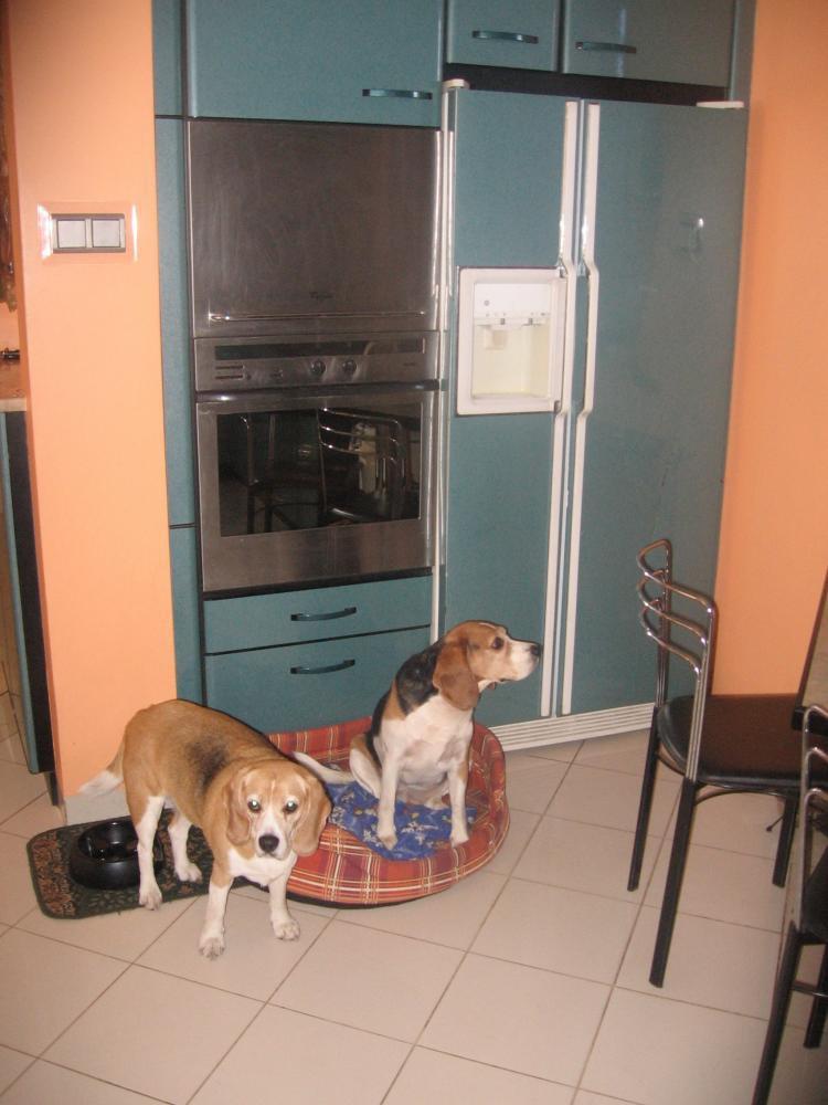 kącik mojej Koko, zdjęcie 4