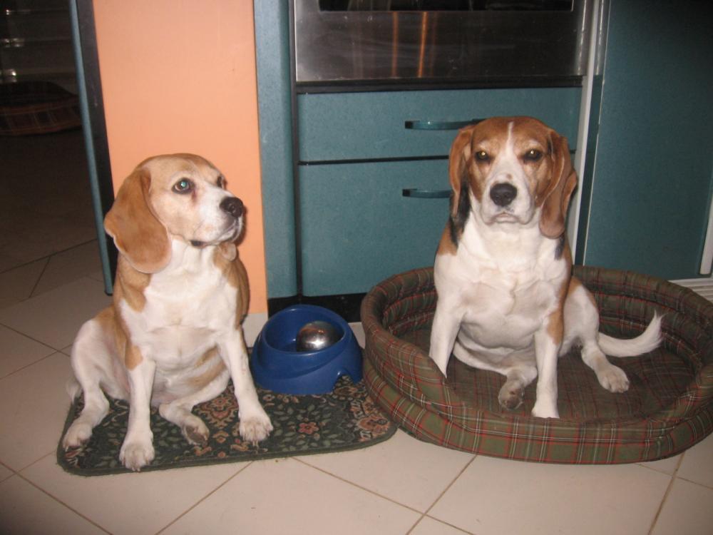 kącik mojej Koko, zdjęcie 3