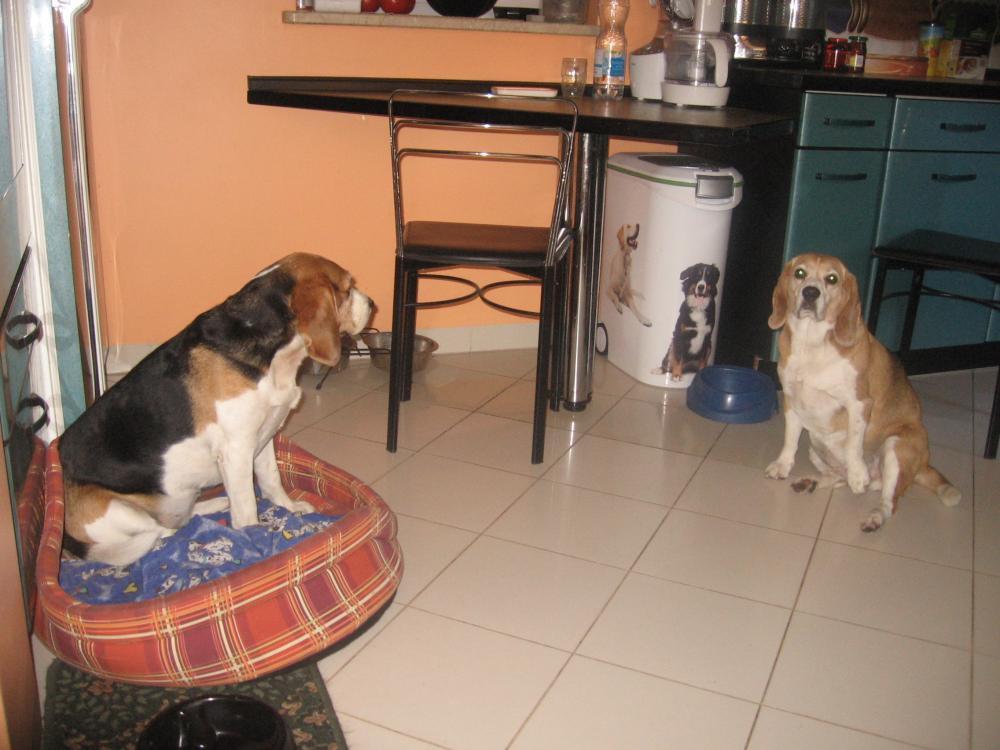 kącik mojej Koko, zdjęcie 2