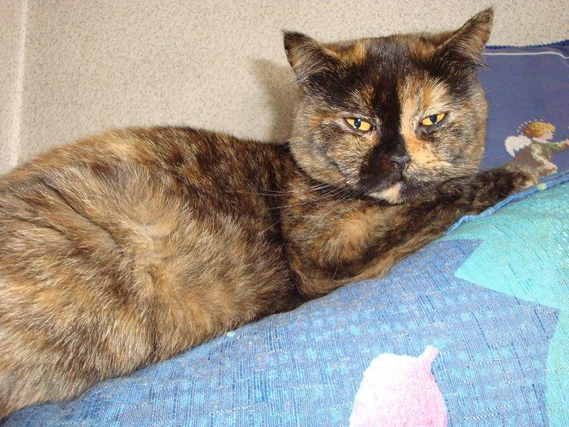 Axel i Blanca, zdjęcie 6