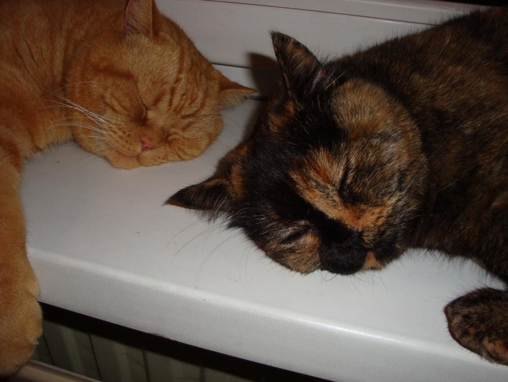 Axel i Blanca, zdjęcie 5