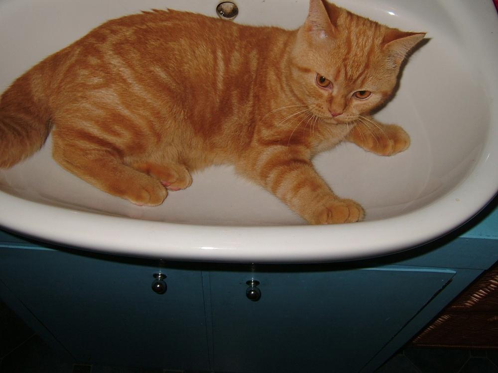 Axel i Blanca, zdjęcie 4