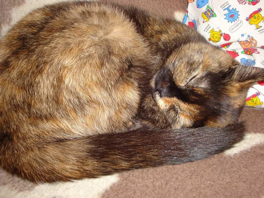 Axel i Blanca, zdjęcie 3