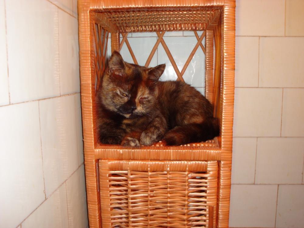 Axel i Blanca, zdjęcie 7