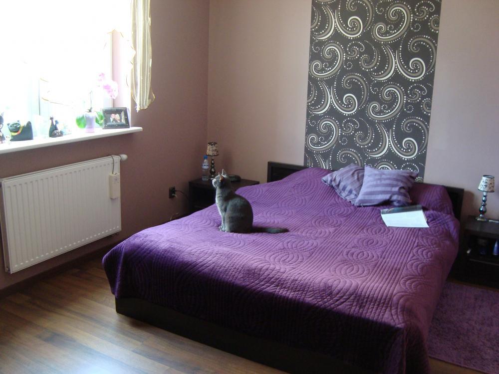 Zwierzak w moim domu, zdjęcie 6