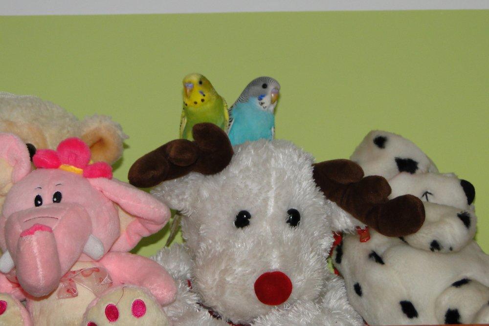 CZITA I MAKS, zdjęcie 2