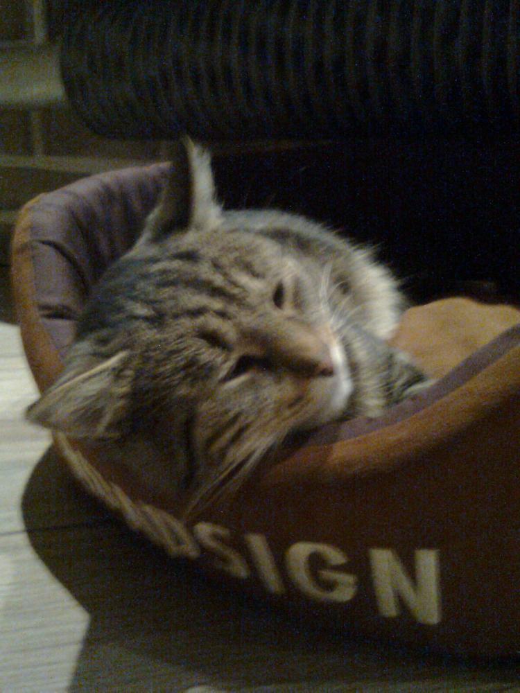 Zamówione-otrzymane:))-na konkurs również:)), zdjęcie 6