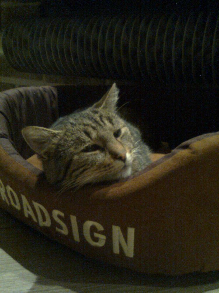 Zamówione-otrzymane:))-na konkurs również:)), zdjęcie 5