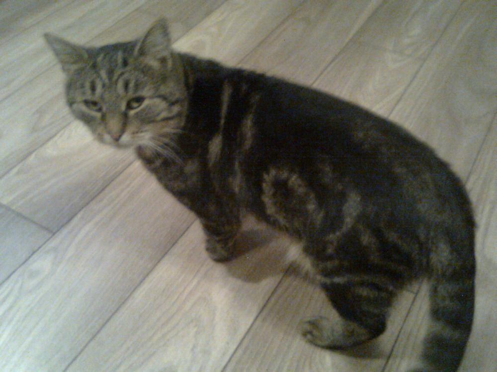 Zamówione-otrzymane:))-na konkurs również:)), zdjęcie 10