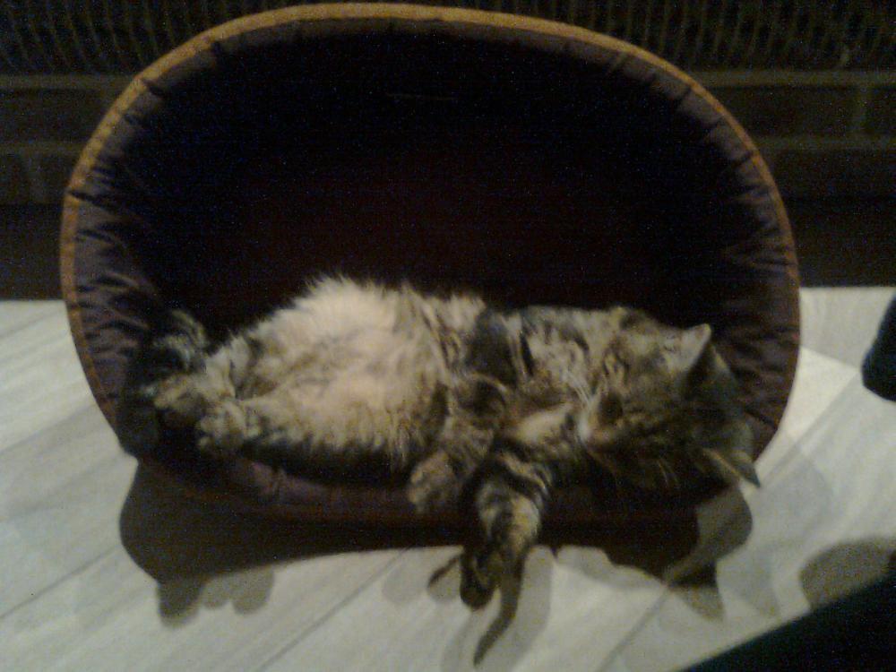 Zamówione-otrzymane:))-na konkurs również:)), zdjęcie 7