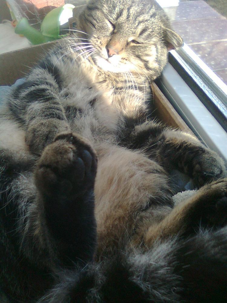 Zamówione-otrzymane:))-na konkurs również:)), zdjęcie 9