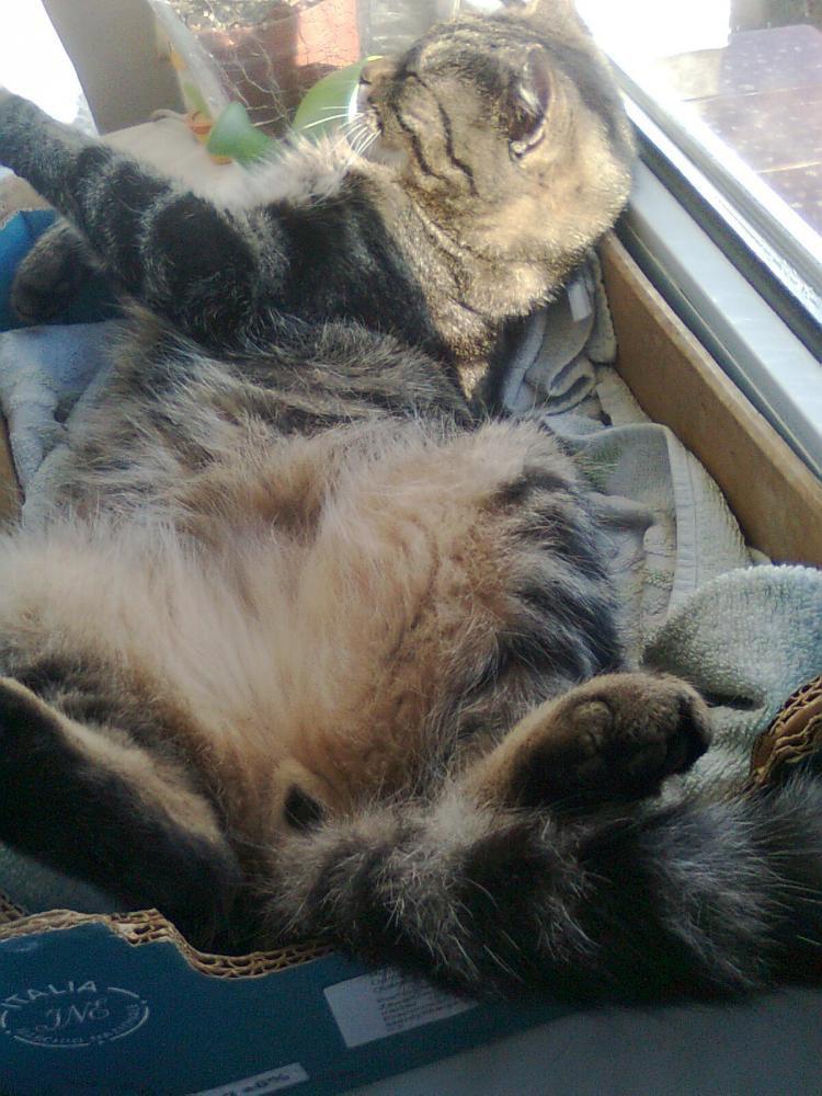 Zamówione-otrzymane:))-na konkurs również:)), zdjęcie 8