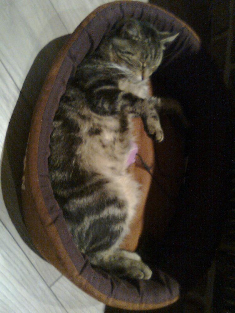 Zamówione-otrzymane:))-na konkurs również:)), zdjęcie 3