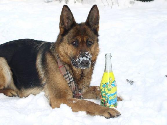 Luka uwielbia ciepło , zdjęcie 3