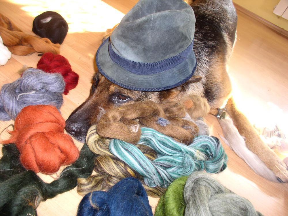 Luka uwielbia ciepło , zdjęcie 7