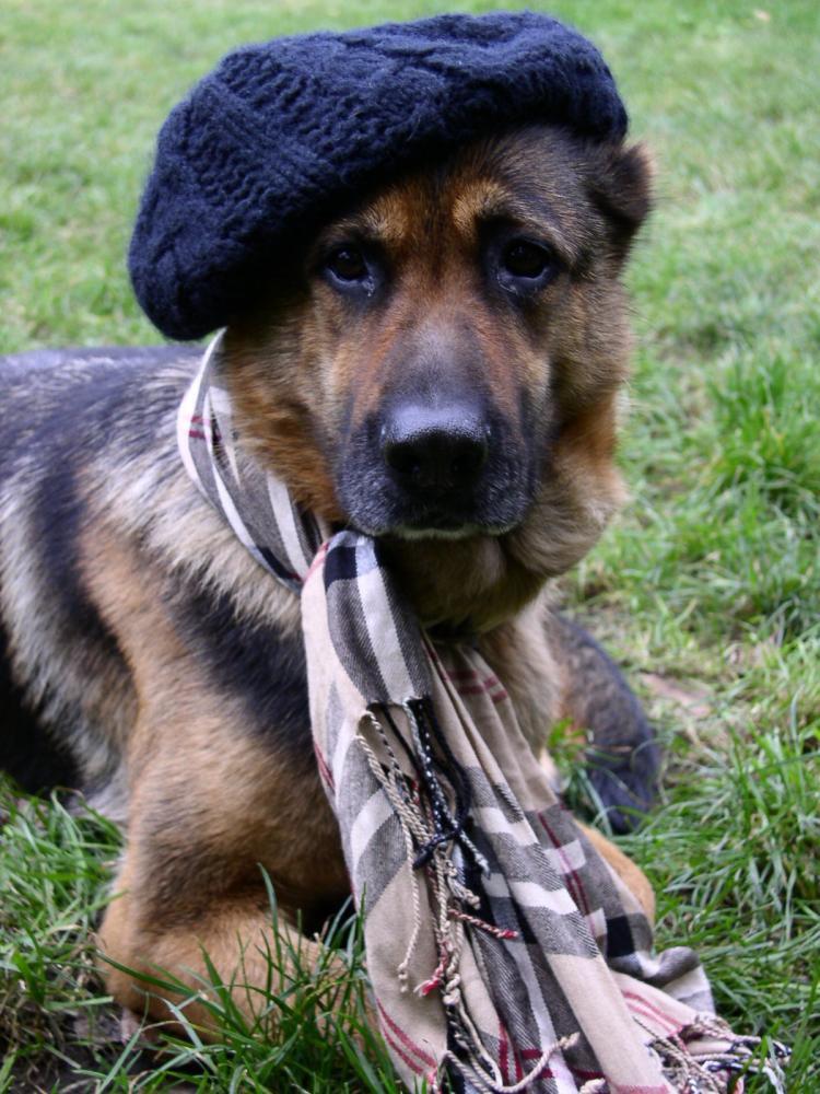 Luka uwielbia ciepło , zdjęcie 4