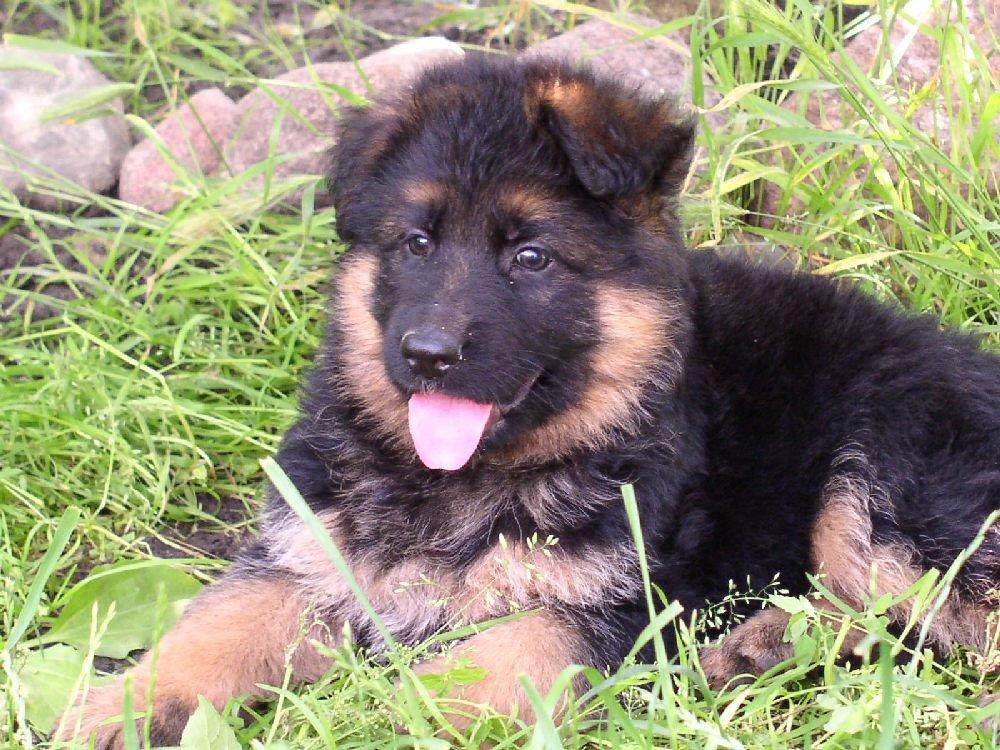 Luka uwielbia ciepło , zdjęcie 6