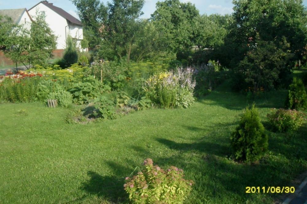 Duży ogród z domem drewnianym, zdjęcie 21